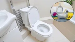 Say goodbye to unpleasant sewer and water pipe odors in the toilet: the ideal solution for a flawless bathroom.