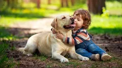 What a dog breed says about its owner's character