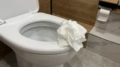 It was only later that I understood why toilet paper should not be thrown into the toilet.