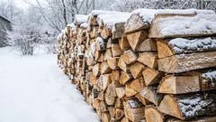 What to do to ensure that damp firewood burns well and gives off maximum heat